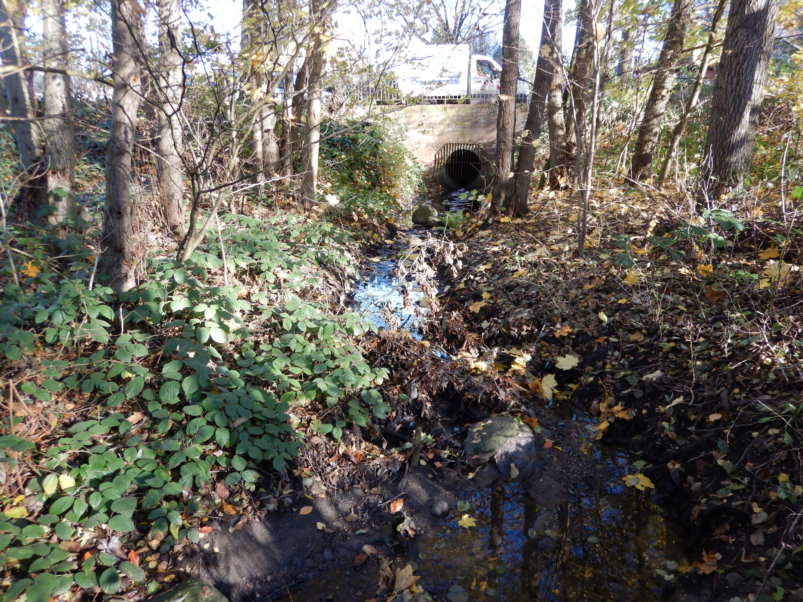 Ein Einlauf in ein Gewässer führt das Wasser in einem kleinen Bachlauf.