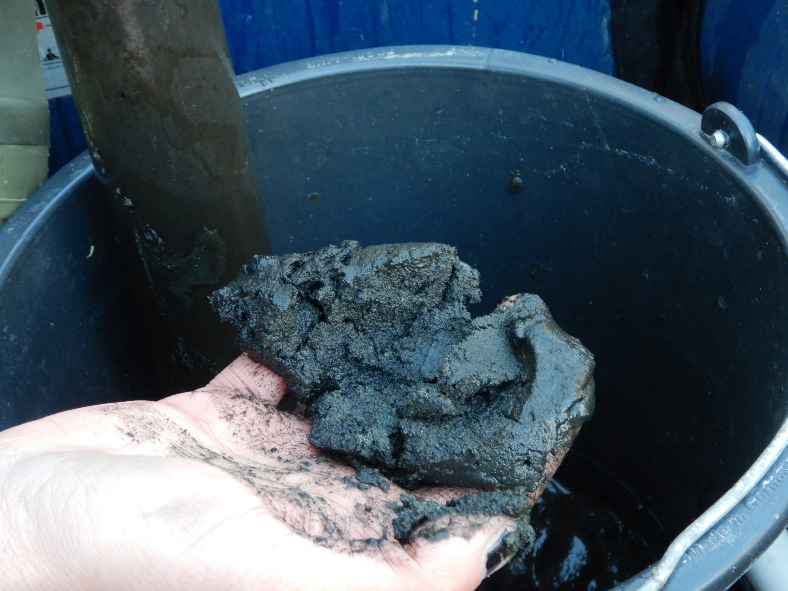 Eine Sedimentprobe wird in der Hand gehalten.